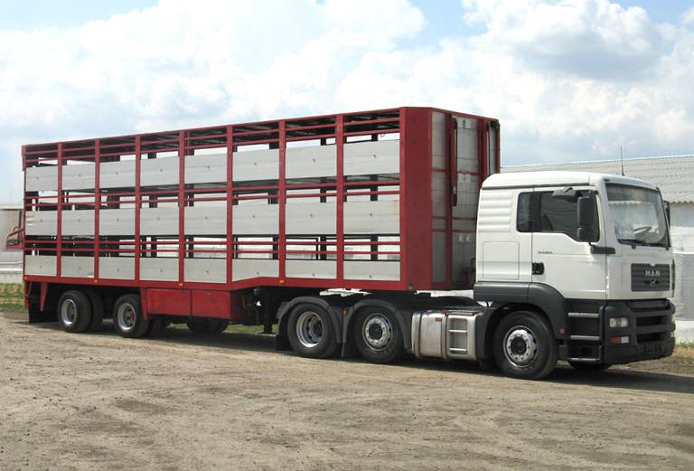 Прицеп для перевозки крупного рогатого скота из Путилова в Кусино
